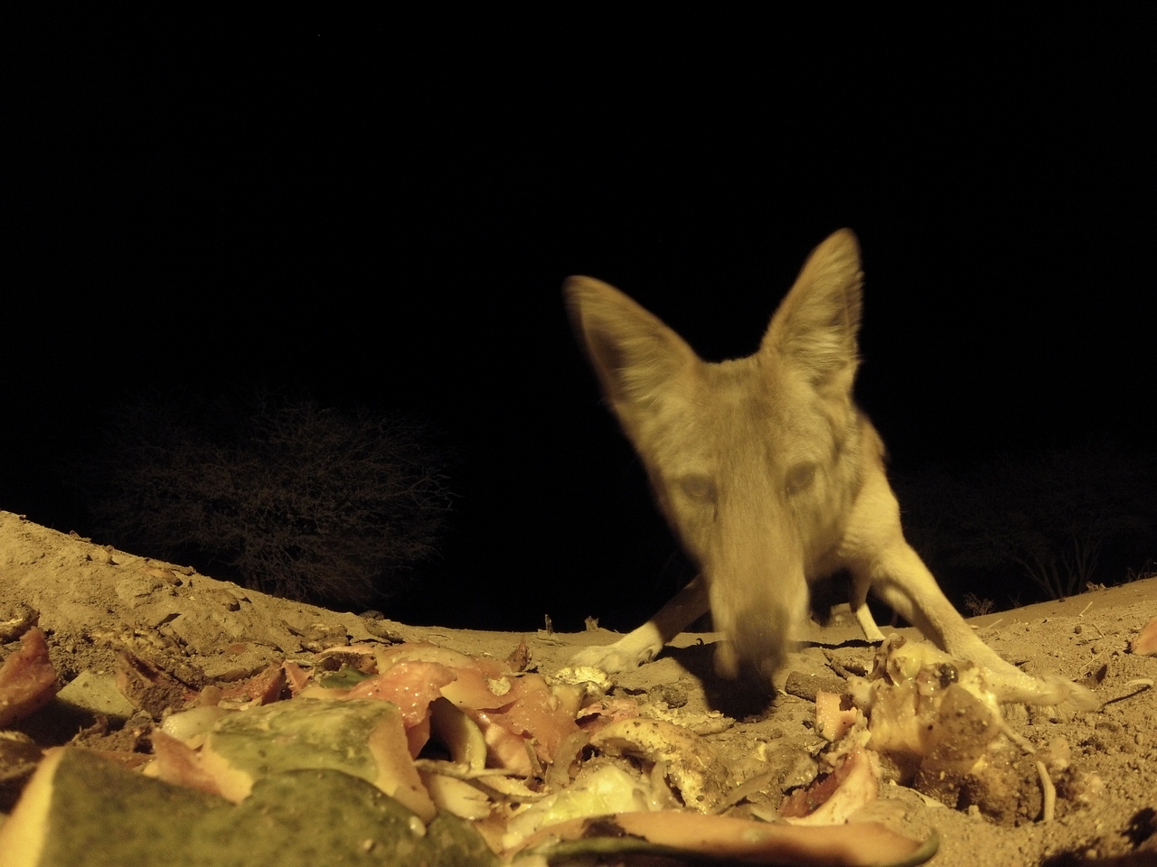 [9938] 2016_06_23_18_48_12_Africa_Hero3-Silver_Edition_IMG__00558.jpg