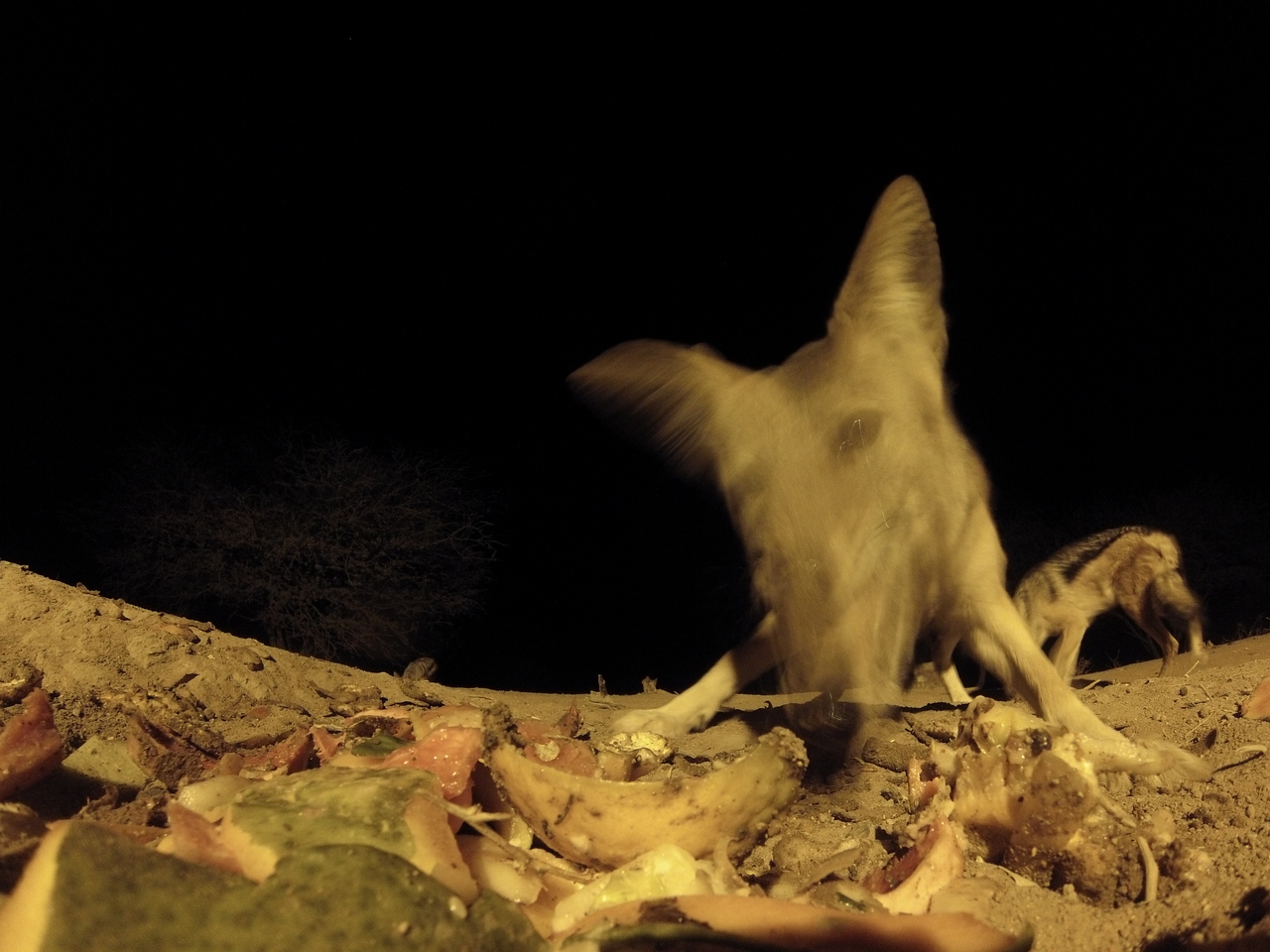 [9942] 2016_06_23_18_48_18_Africa_Hero3-Silver_Edition_IMG__00560.jpg