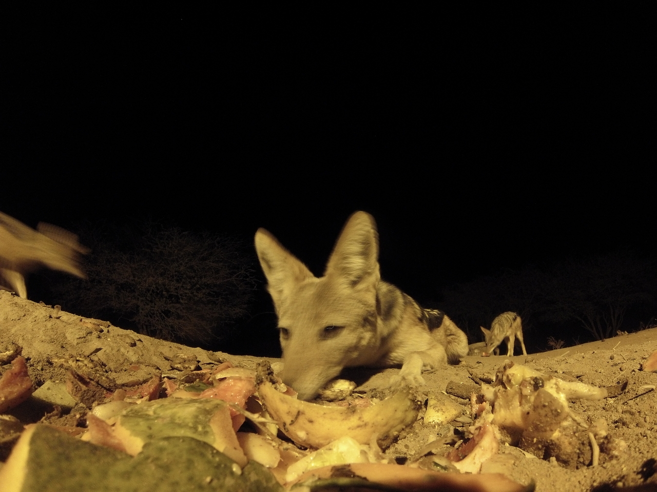 [9967] 2016_06_23_18_48_46_Africa_Hero3-Silver_Edition_IMG__00571.jpg