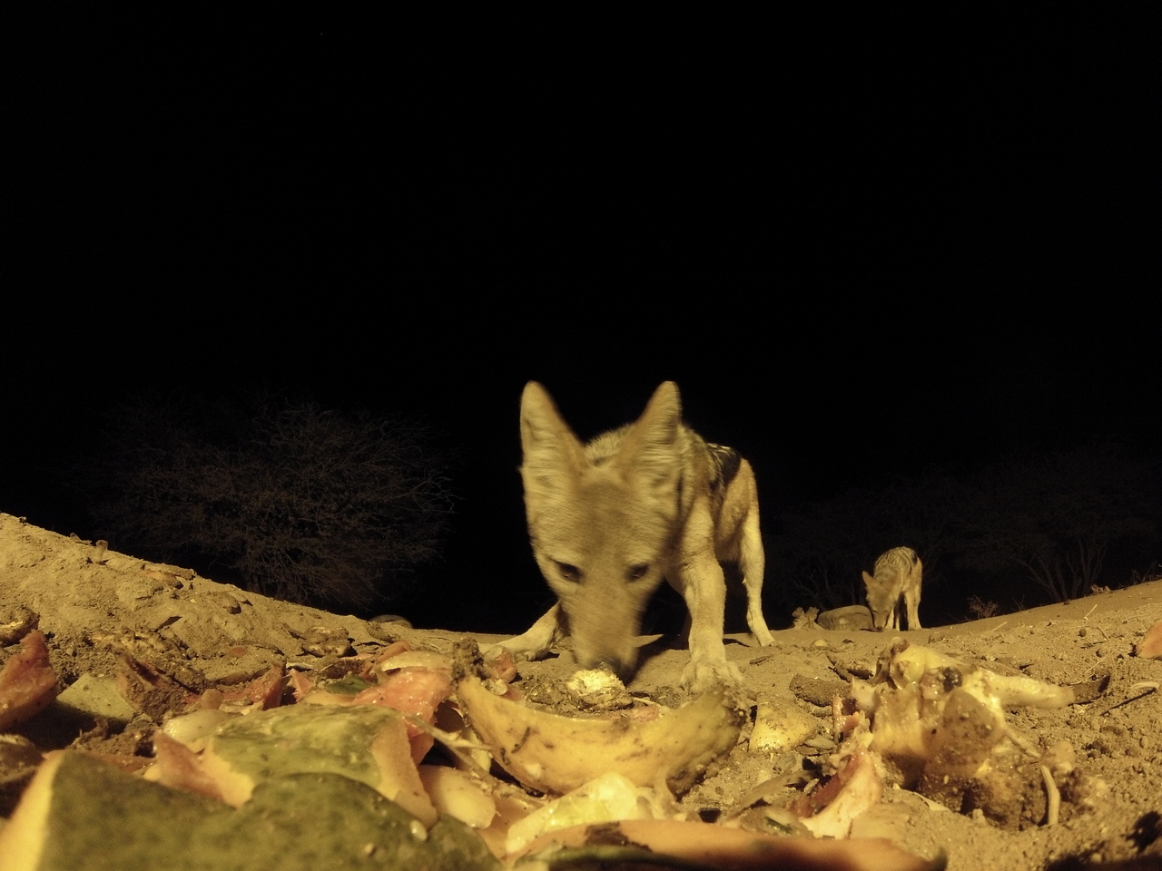 [9980] 2016_06_23_18_49_00_Africa_Hero3-Silver_Edition_IMG__01025.jpg