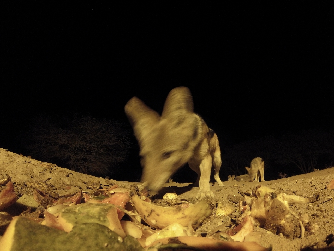 [9981] 2016_06_23_18_49_04_Africa_Hero3-Silver_Edition_IMG__00578.jpg