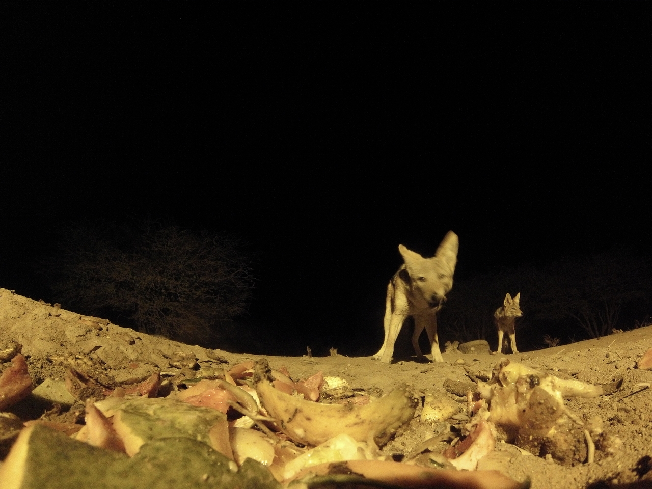 [9986] 2016_06_23_18_49_07_Africa_Hero3-Silver_Edition_IMG__01028.jpg