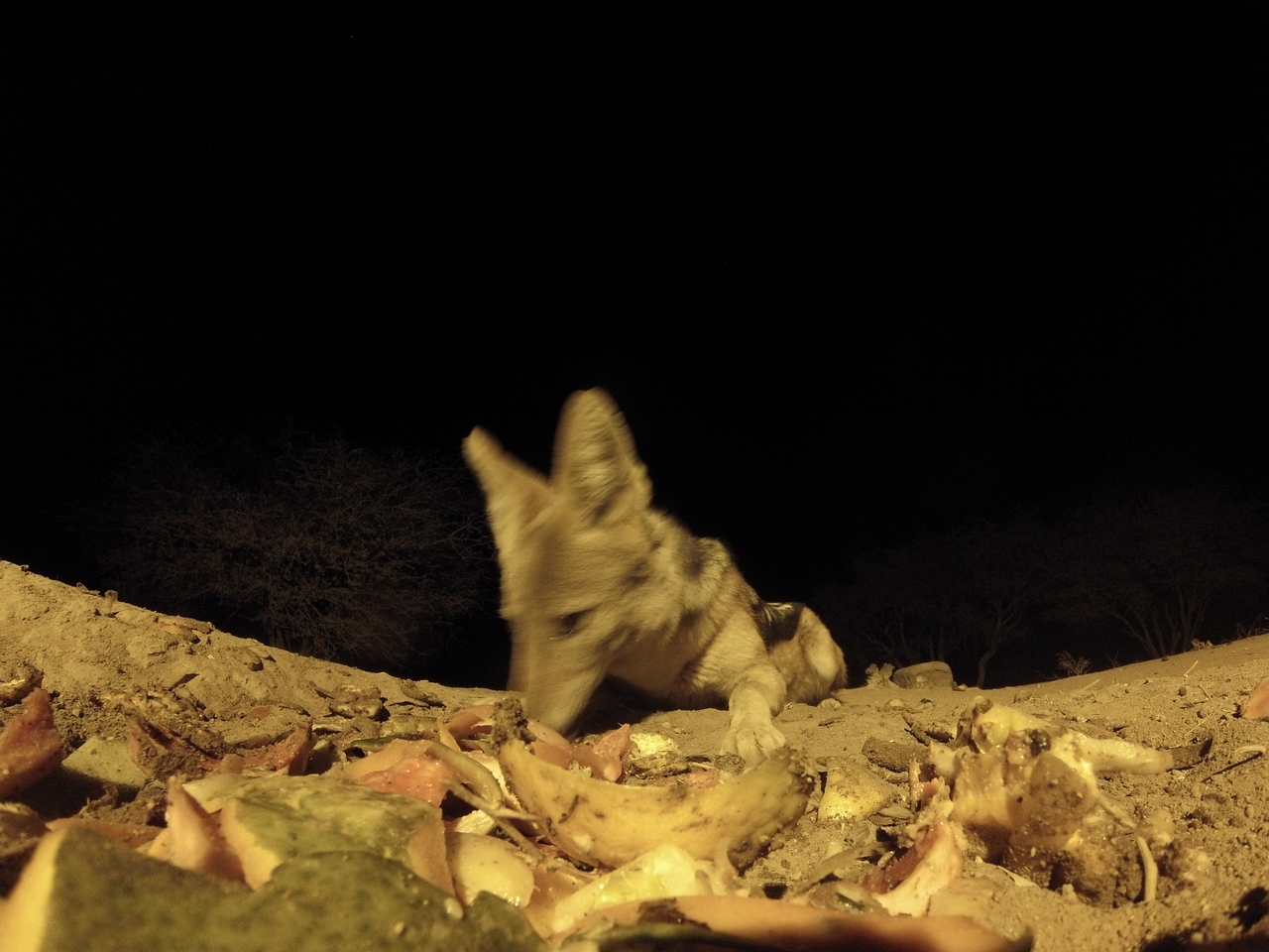 [9990] 2016_06_23_18_49_14_Africa_Hero3-Silver_Edition_IMG__01030.jpg