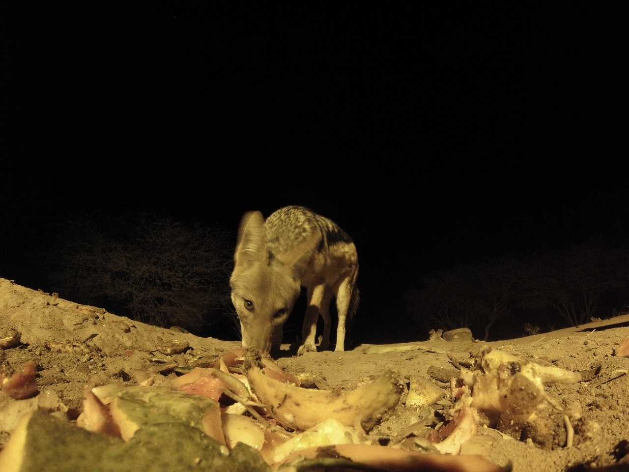 [10019] 2016_06_23_18_49_53_Africa_Hero3-Silver_Edition_IMG__00597.jpg