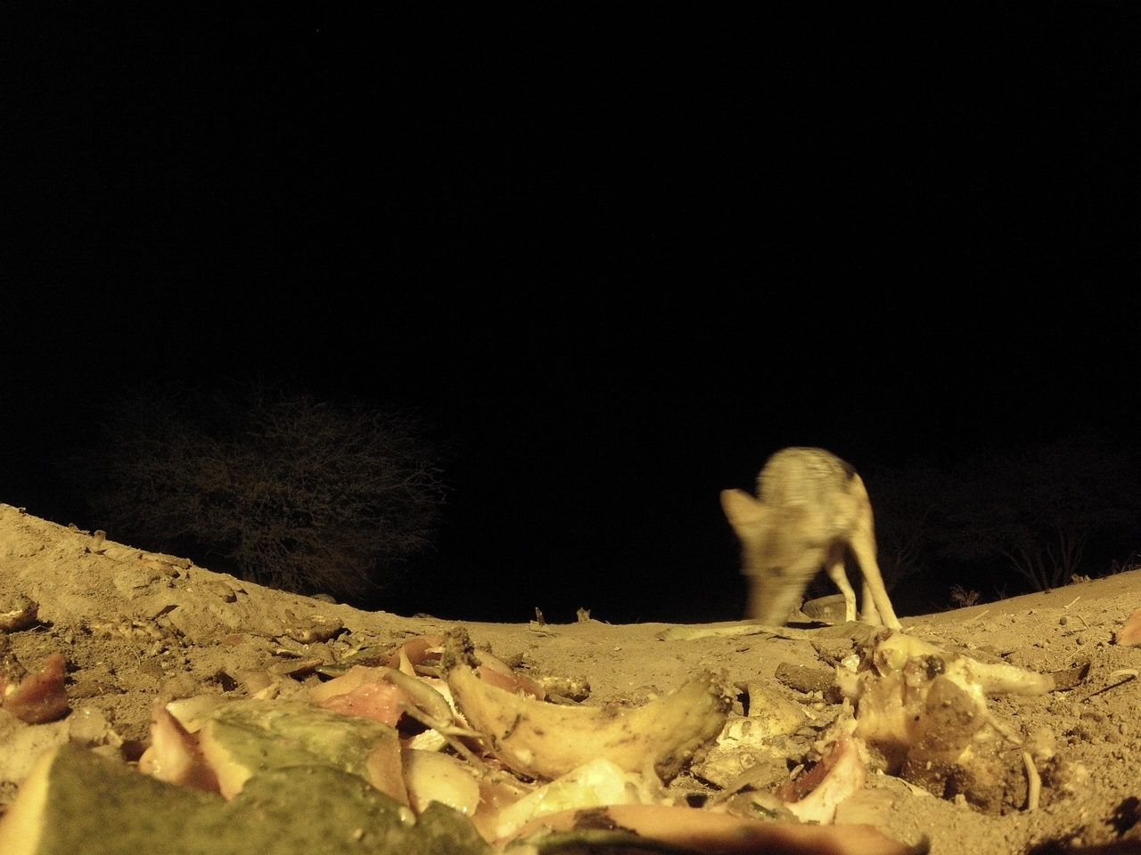 [10039] 2016_06_23_18_50_21_Africa_Hero3-Silver_Edition_IMG__00607.jpg