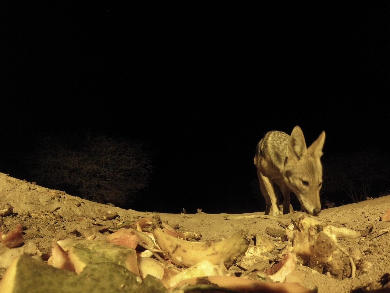 [10041] 2016_06_23_18_50_25_Africa_Hero3-Silver_Edition_IMG__00608.jpg