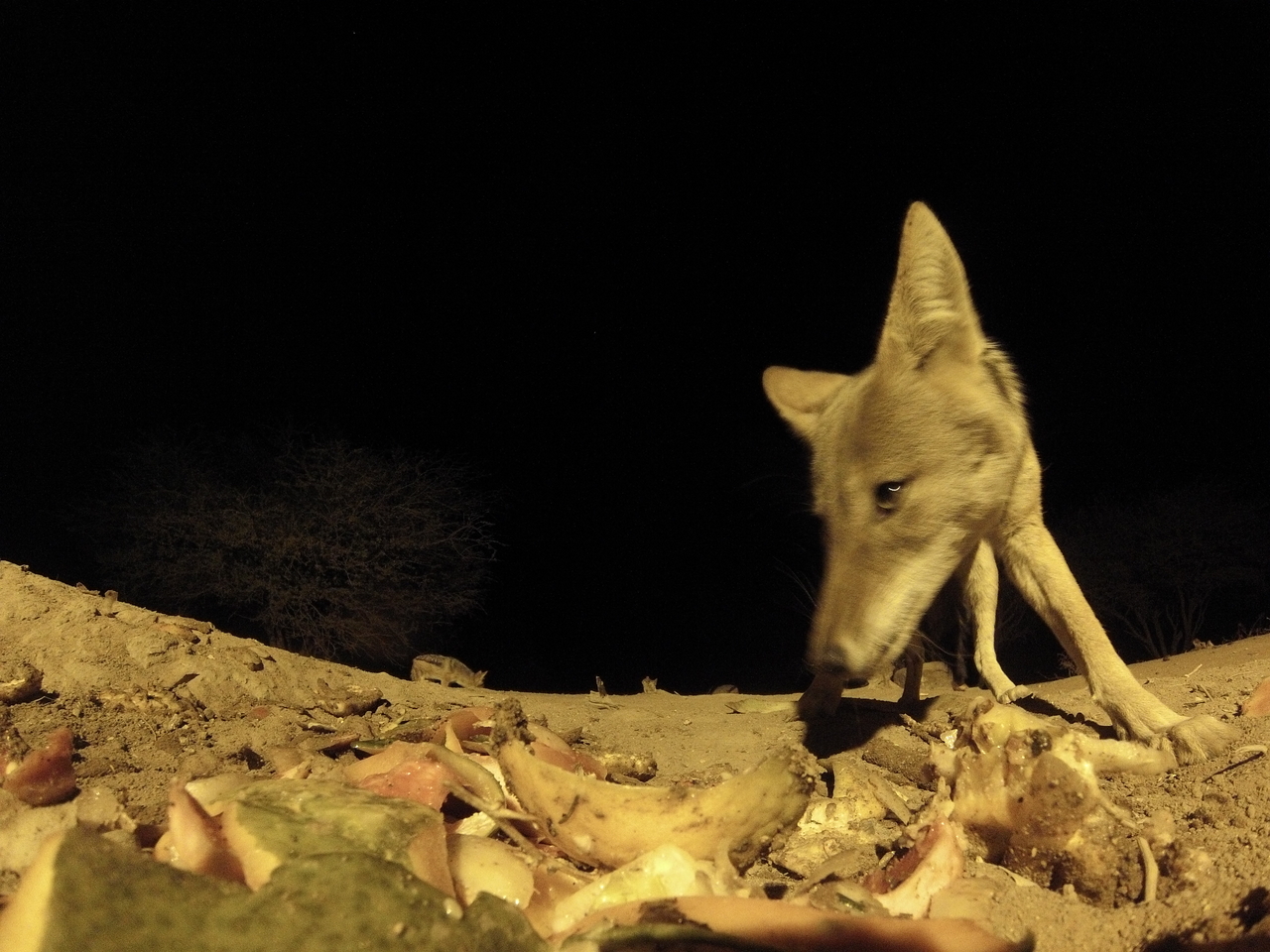 [10056] 2016_06_23_18_50_45_Africa_Hero3-Silver_Edition_IMG__01063.jpg