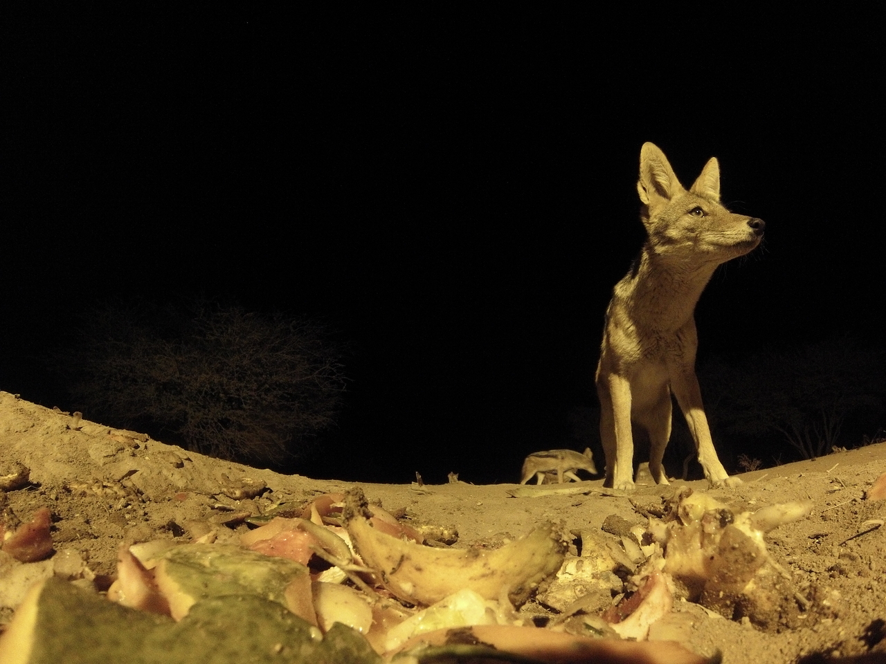 [10067] 2016_06_23_18_50_59_Africa_Hero3-Silver_Edition_IMG_8048_02968.jpg