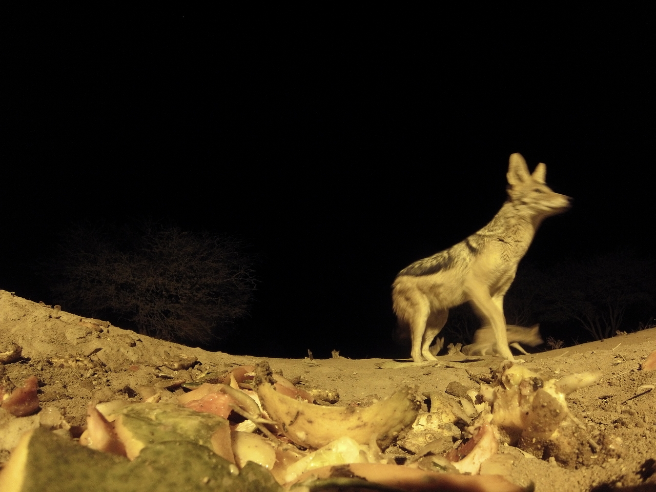 [10070] 2016_06_23_18_51_02_Africa_Hero3-Silver_Edition_IMG__00621.jpg