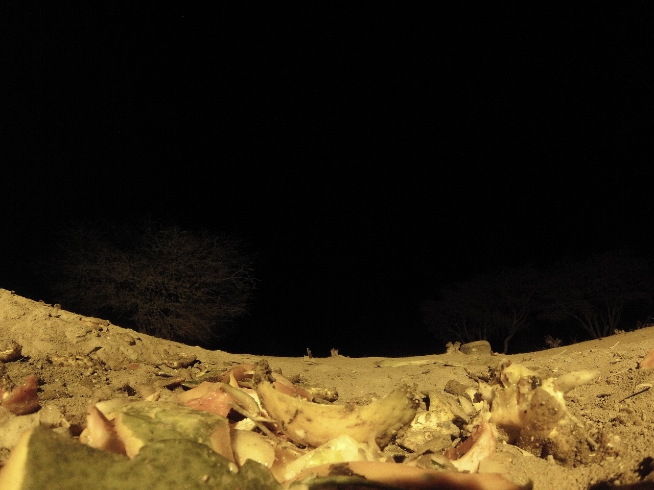 [10081] 2016_06_23_18_51_15_Africa_Hero3-Silver_Edition_IMG__01074.jpg