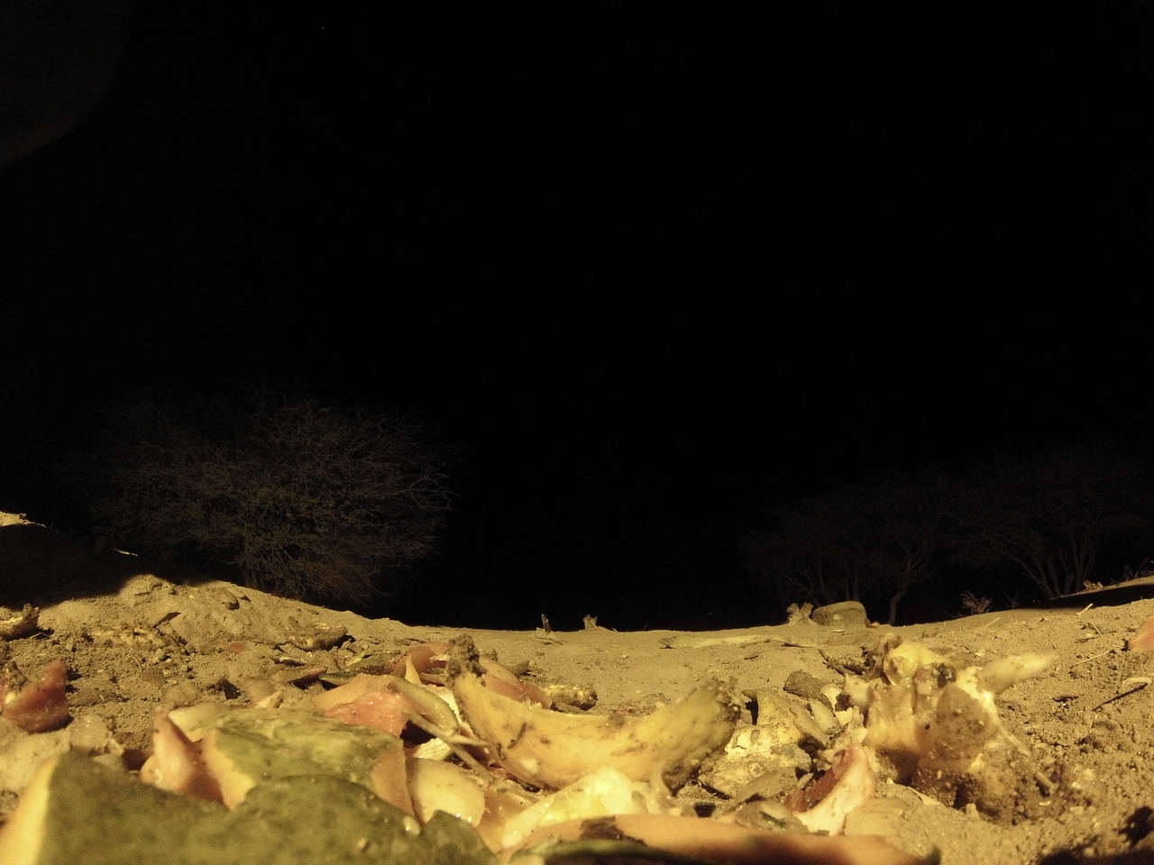 [10090] 2016_06_23_18_51_29_Africa_Hero3-Silver_Edition_IMG__00631.jpg