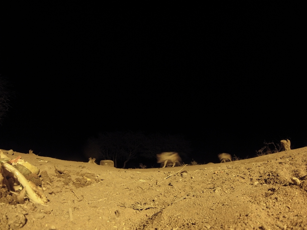 [10154] 2016_06_23_19_00_54_Africa_Hero3-Silver_Edition_IMG__00647.jpg