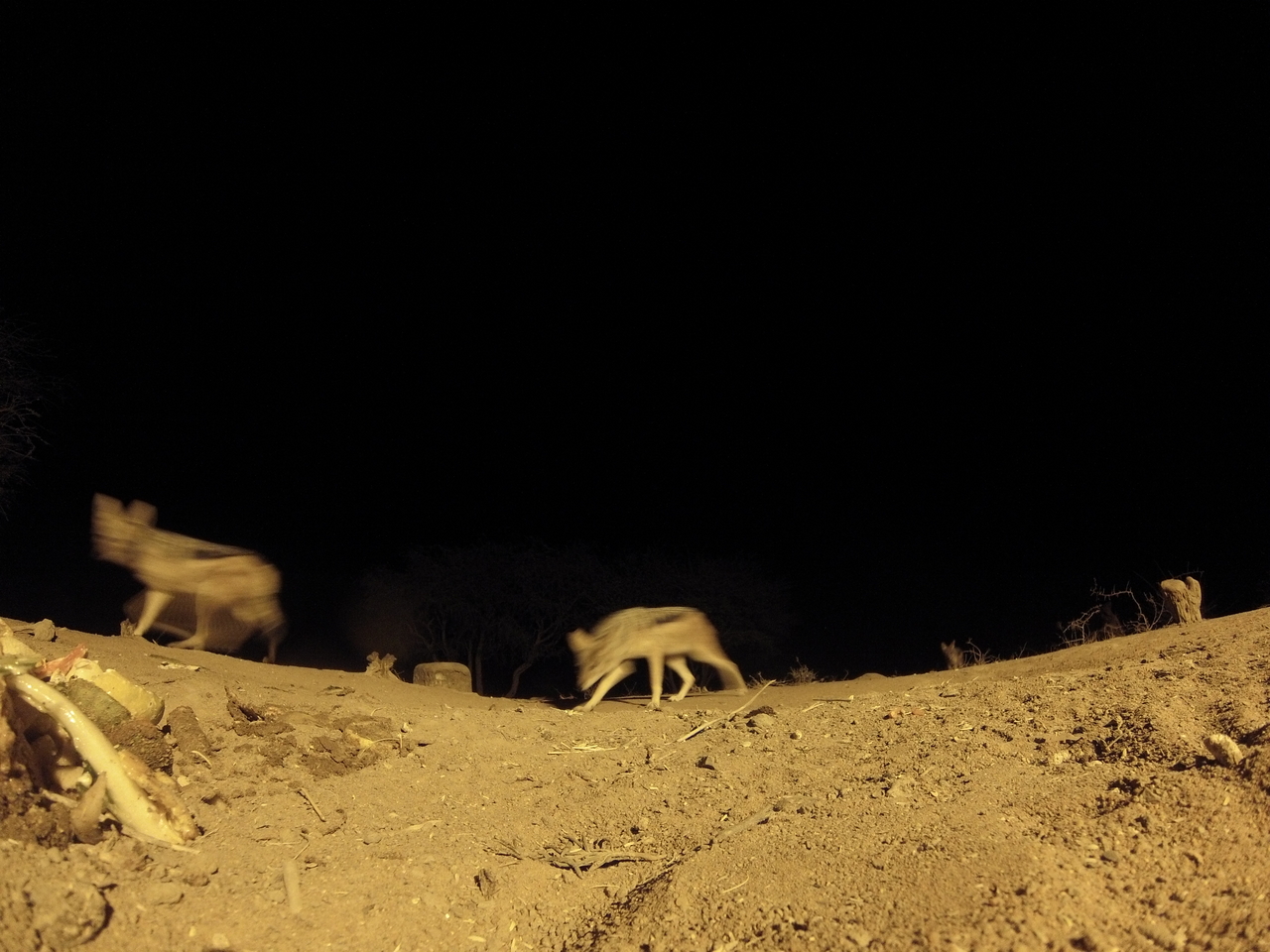 [10166] 2016_06_23_19_01_04_Africa_Hero3-Silver_Edition_IMG__00651.jpg