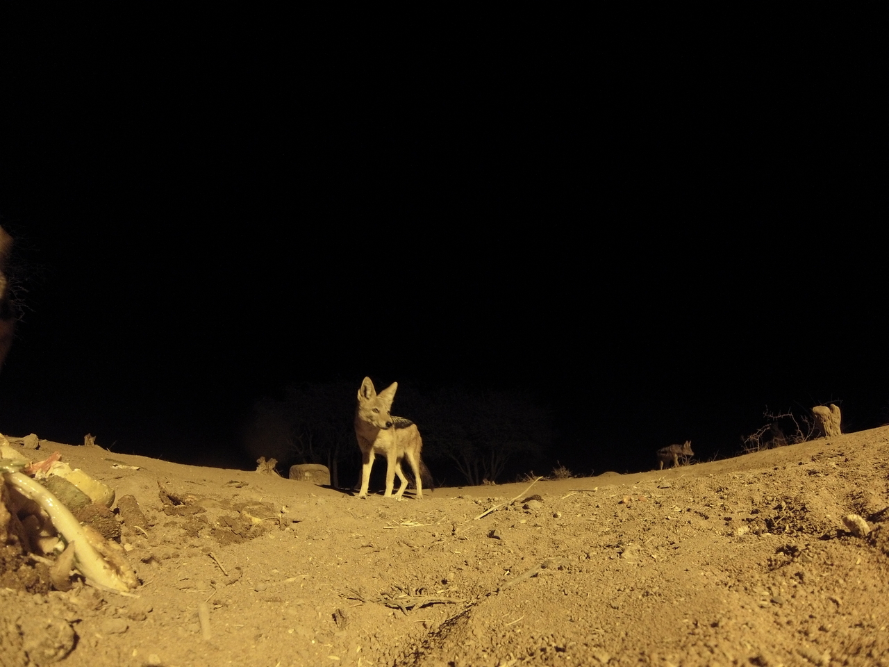 [10170] 2016_06_23_19_01_06_Africa_Hero3-Silver_Edition_IMG__00652.jpg