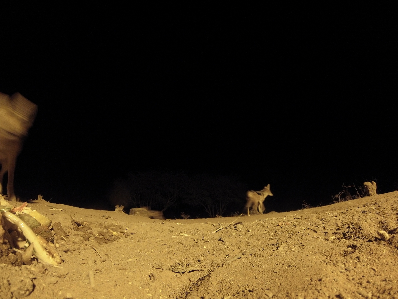 [10179] 2016_06_23_19_01_14_Africa_Hero3-Silver_Edition_IMG__01103.jpg