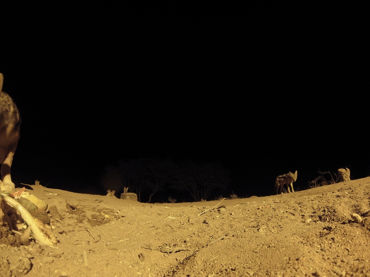 [10184] 2016_06_23_19_01_18_Africa_Hero3-Silver_Edition_IMG__00657.jpg