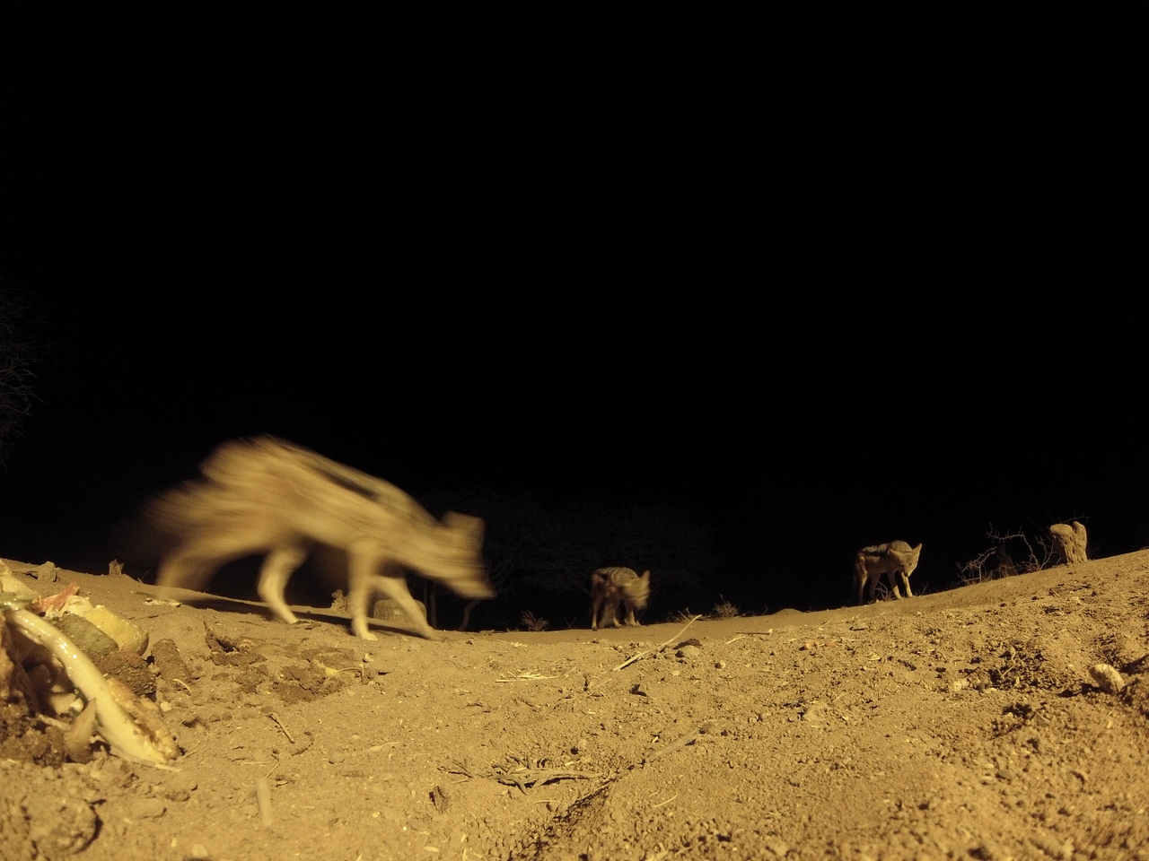 [10191] 2016_06_23_19_01_24_Africa_Hero3-Silver_Edition_IMG__01107.jpg