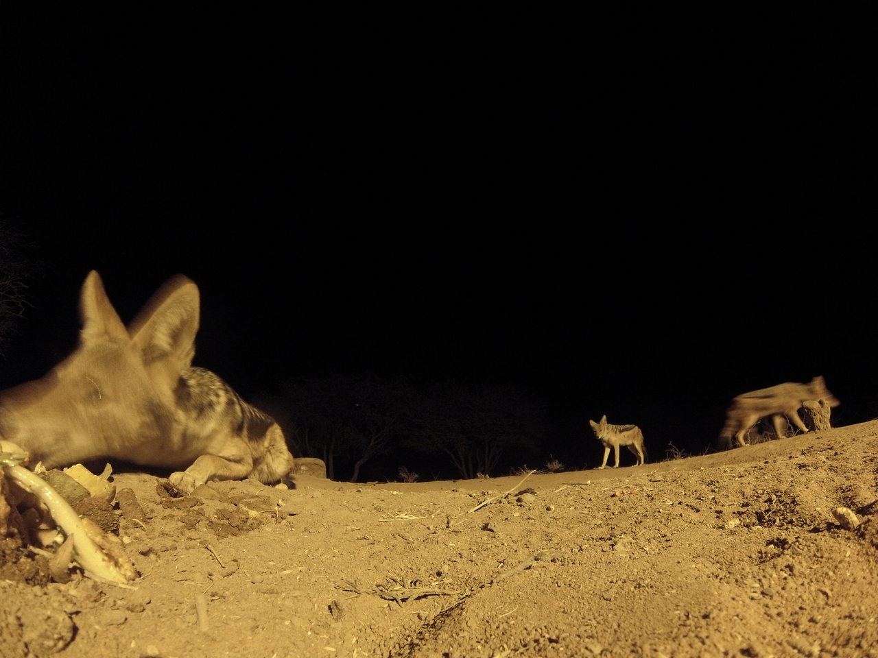 [10204] 2016_06_23_19_01_34_Africa_Hero3-Silver_Edition_IMG__01110.jpg