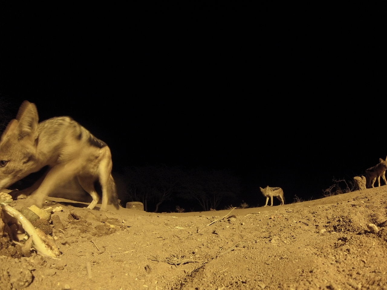 [10212] 2016_06_23_19_01_42_Africa_Hero3-Silver_Edition_IMG__01112.jpg