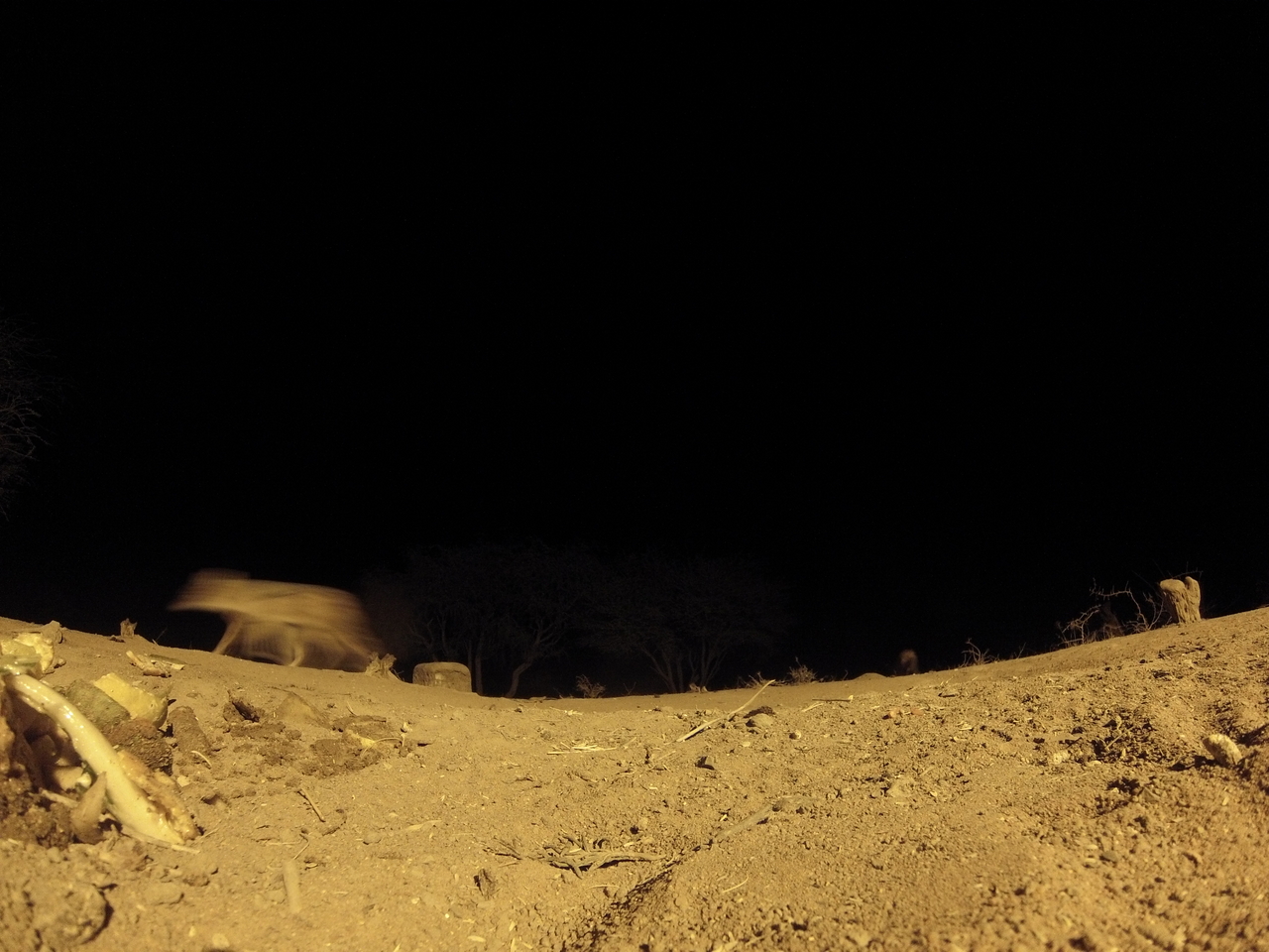 [10233] 2016_06_23_19_02_00_Africa_Hero3-Silver_Edition_IMG__01118.jpg