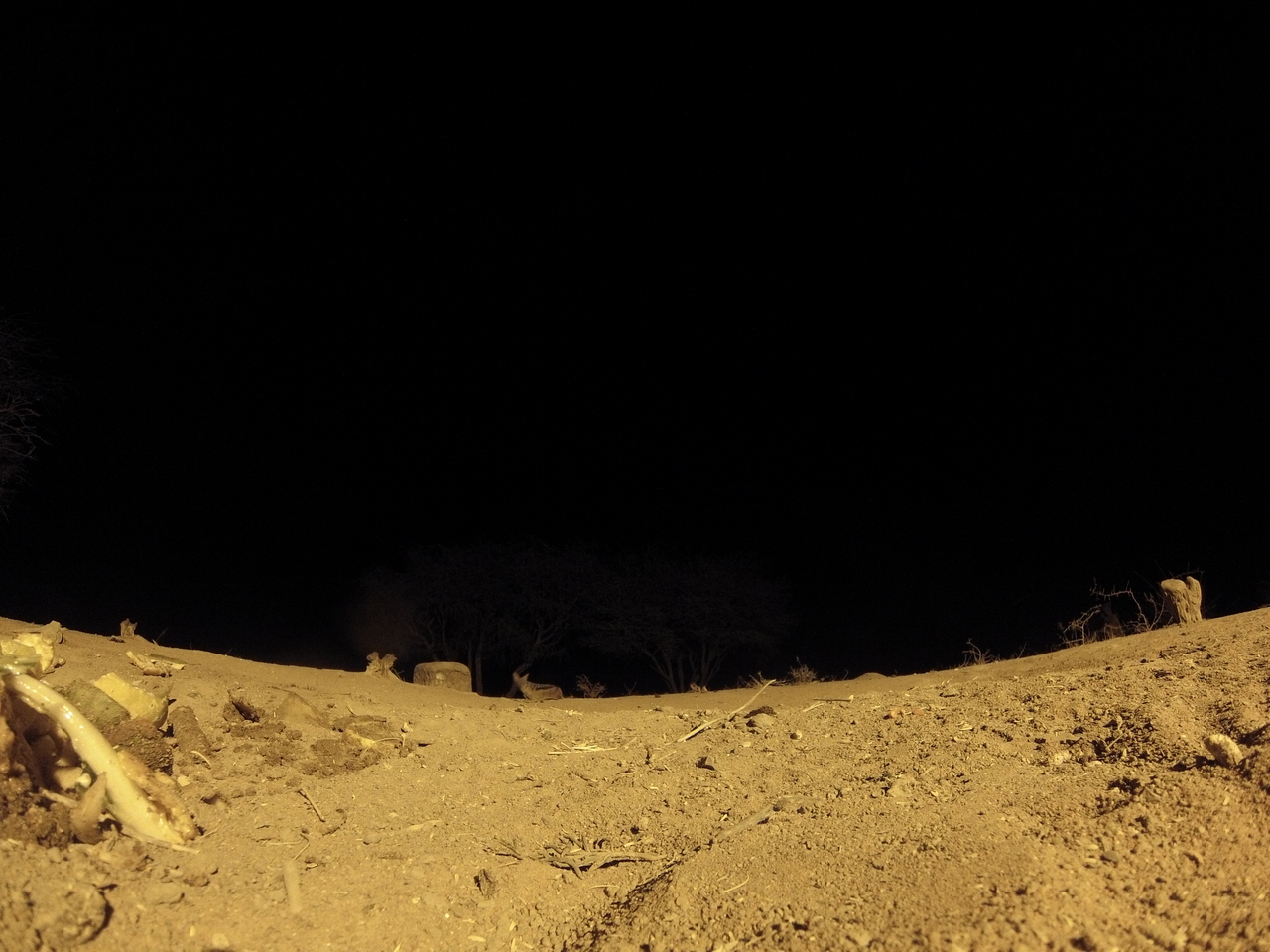 [10244] 2016_06_23_19_02_10_Africa_Hero3-Silver_Edition_IMG__00674.jpg