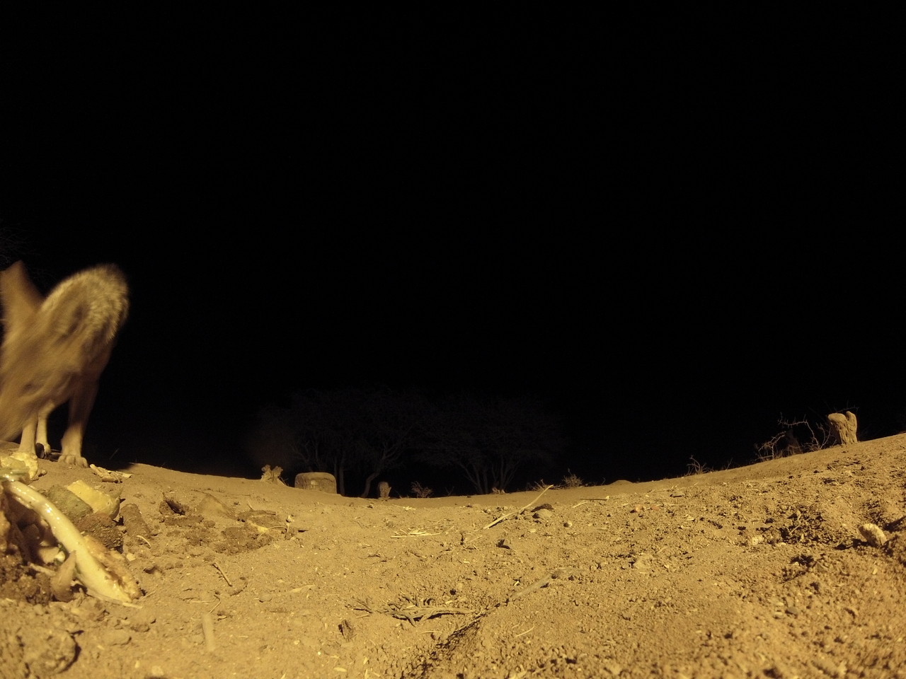 [10254] 2016_06_23_19_02_16_Africa_Hero3-Silver_Edition_IMG__00677.jpg