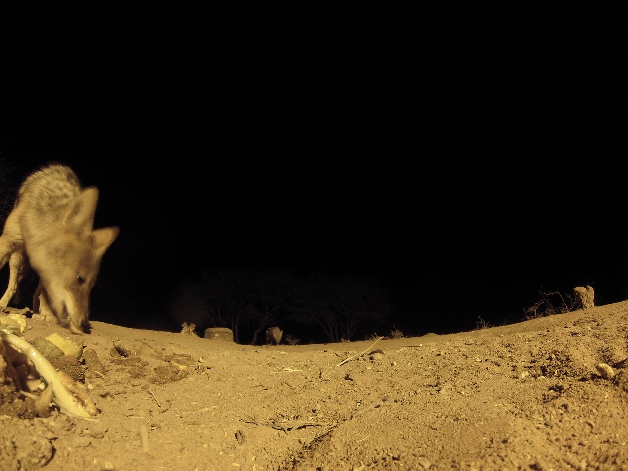 [10256] 2016_06_23_19_02_18_Africa_Hero3-Silver_Edition_IMG__00678.jpg