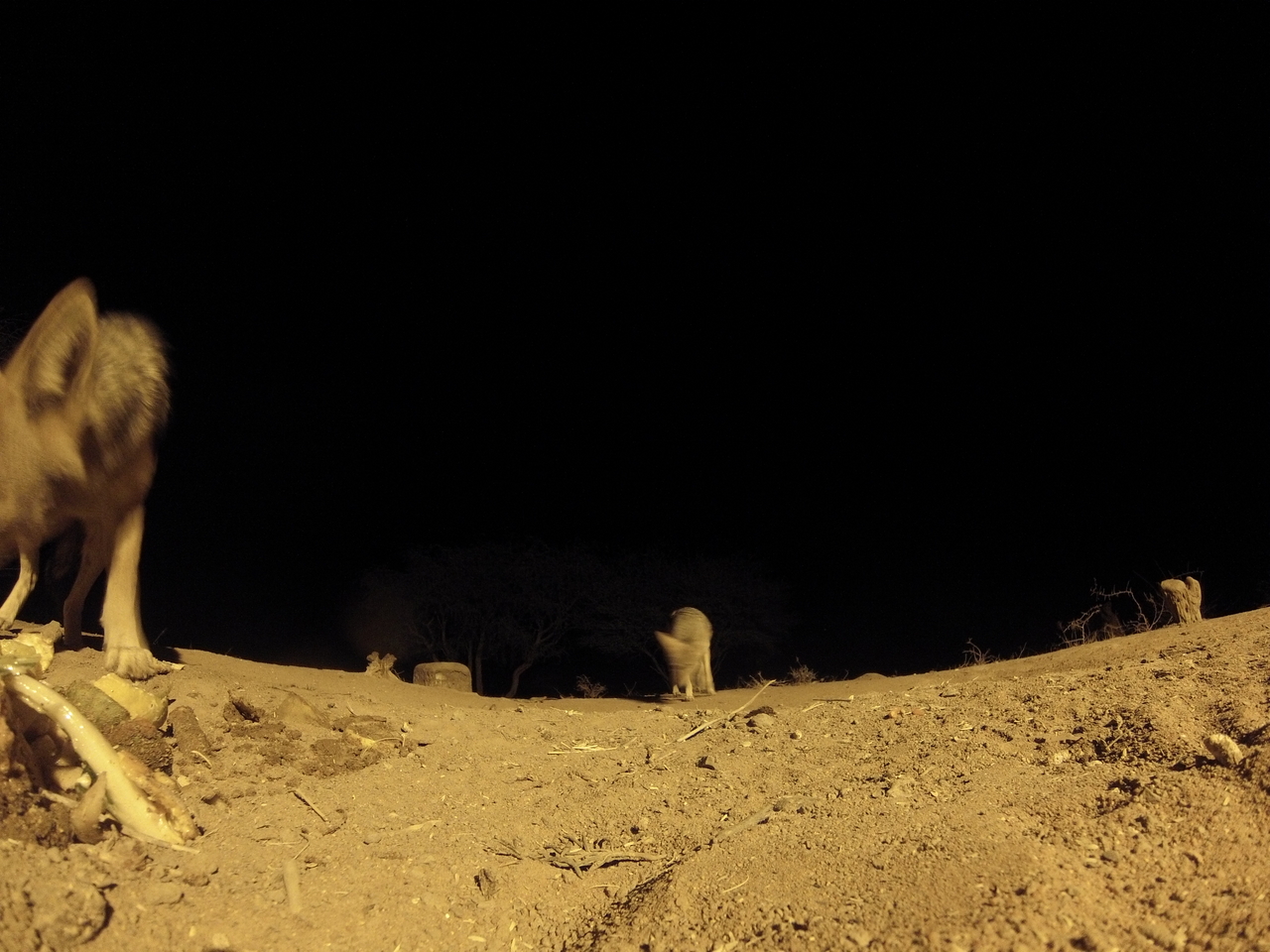 [10262] 2016_06_23_19_02_24_Africa_Hero3-Silver_Edition_IMG__00680.jpg