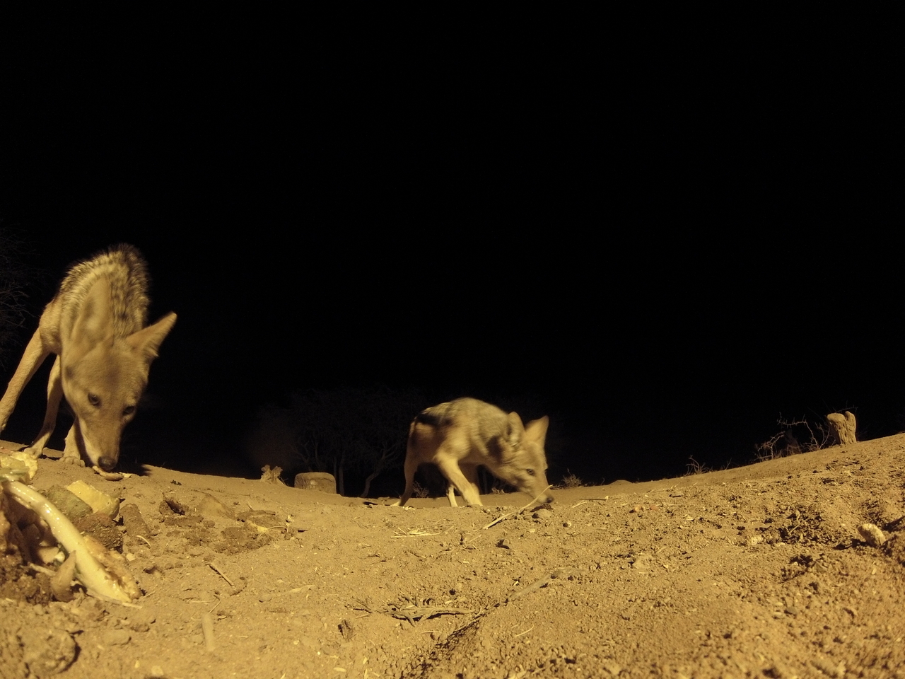 [10294] 2016_06_23_19_02_52_Africa_Hero3-Silver_Edition_IMG__00690.jpg