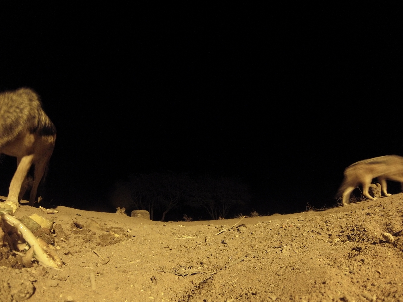 [10306] 2016_06_23_19_03_02_Africa_Hero3-Silver_Edition_IMG__00694.jpg