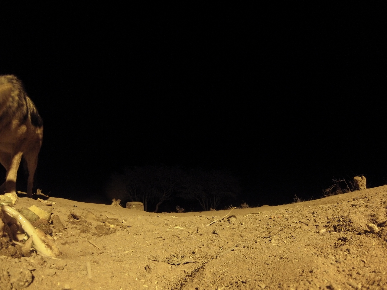 [10313] 2016_06_23_19_03_06_Africa_Hero3-Silver_Edition_IMG__01144.jpg