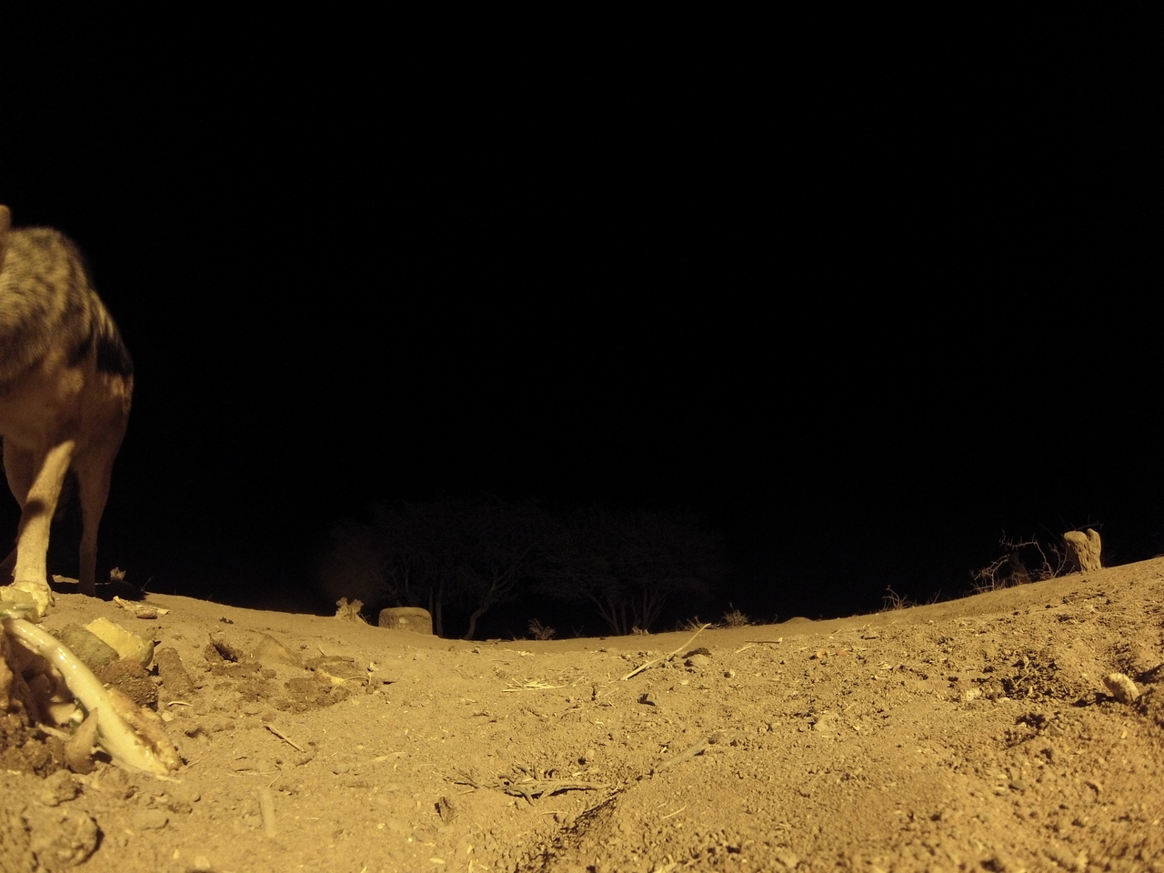 [10315] 2016_06_23_19_03_08_Africa_Hero3-Silver_Edition_IMG__01145.jpg