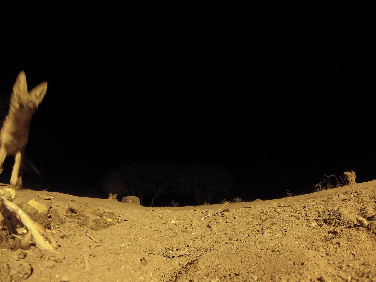 [10319] 2016_06_23_19_03_12_Africa_Hero3-Silver_Edition_IMG__01146.jpg