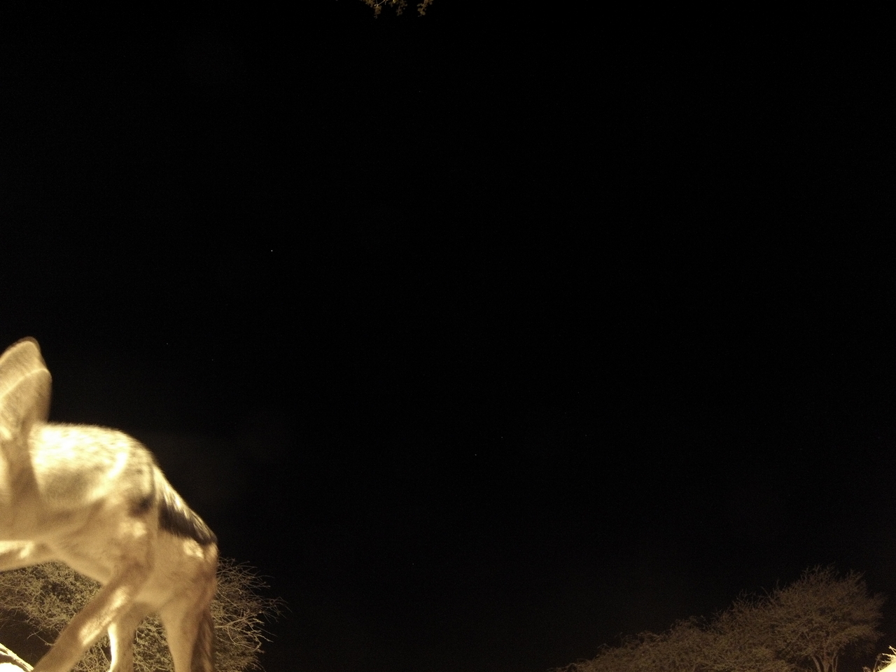 [10432] 2016_06_23_19_05_05_Africa_Hero3-Silver_Edition_IMG__00730.jpg