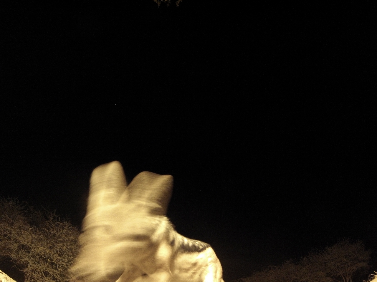 [10528] 2016_06_23_19_06_49_Africa_Hero3-Silver_Edition_IMG__00757.jpg