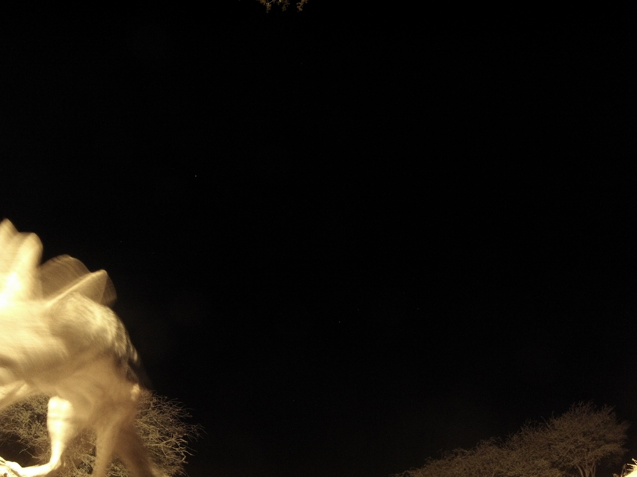 [10576] 2016_06_23_19_07_41_Africa_Hero3-Silver_Edition_IMG__00770.jpg