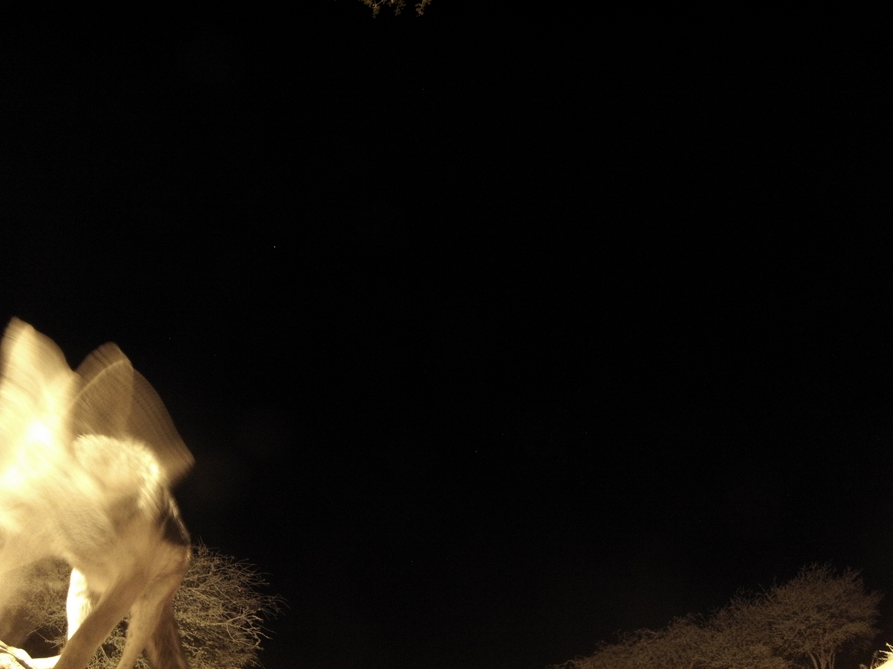 [10579] 2016_06_23_19_07_45_Africa_Hero3-Silver_Edition_IMG__01219.jpg