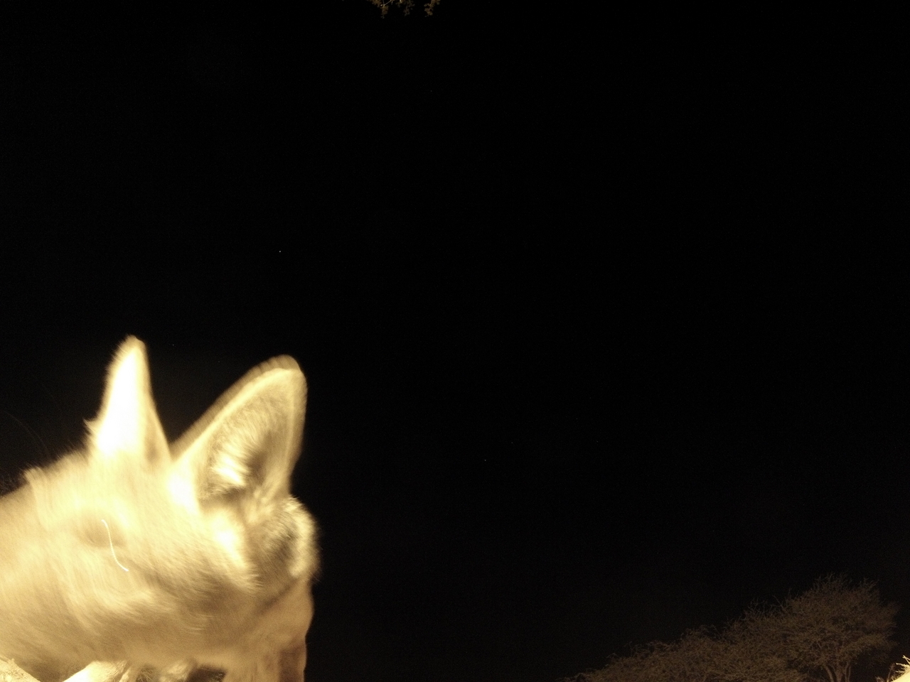 [10587] 2016_06_23_19_07_53_Africa_Hero3-Silver_Edition_IMG__01221.jpg