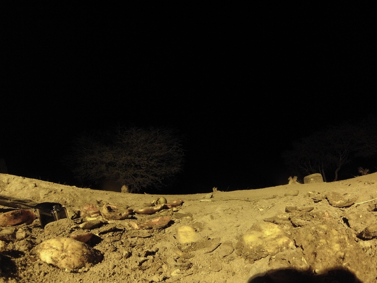 [10846] 2016_06_23_19_51_40_Africa_Hero3-Silver_Edition_IMG__01293.jpg