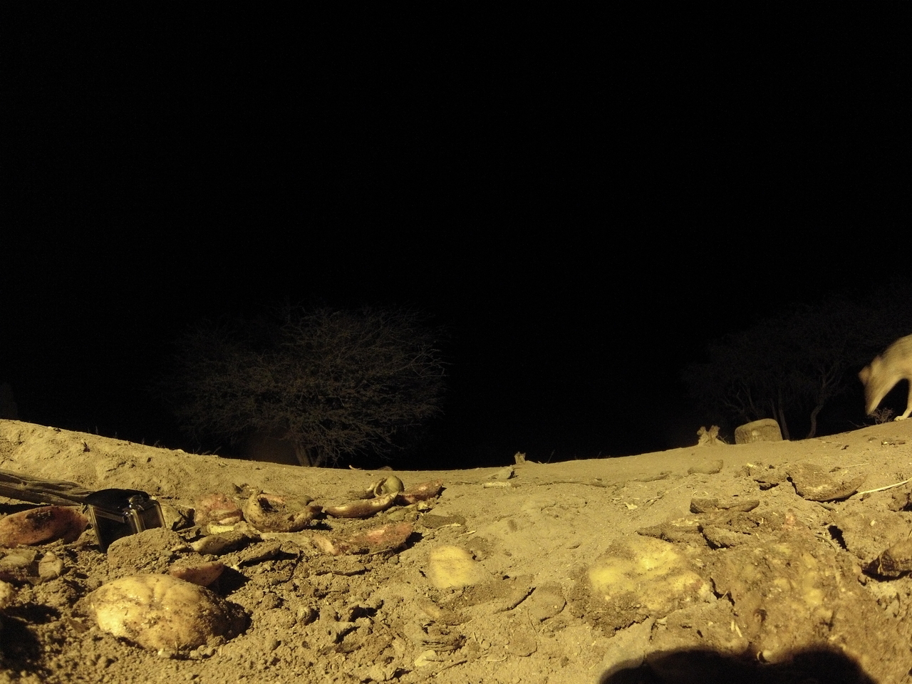 [10864] 2016_06_23_19_51_58_Africa_Hero3-Silver_Edition_IMG__01298.jpg