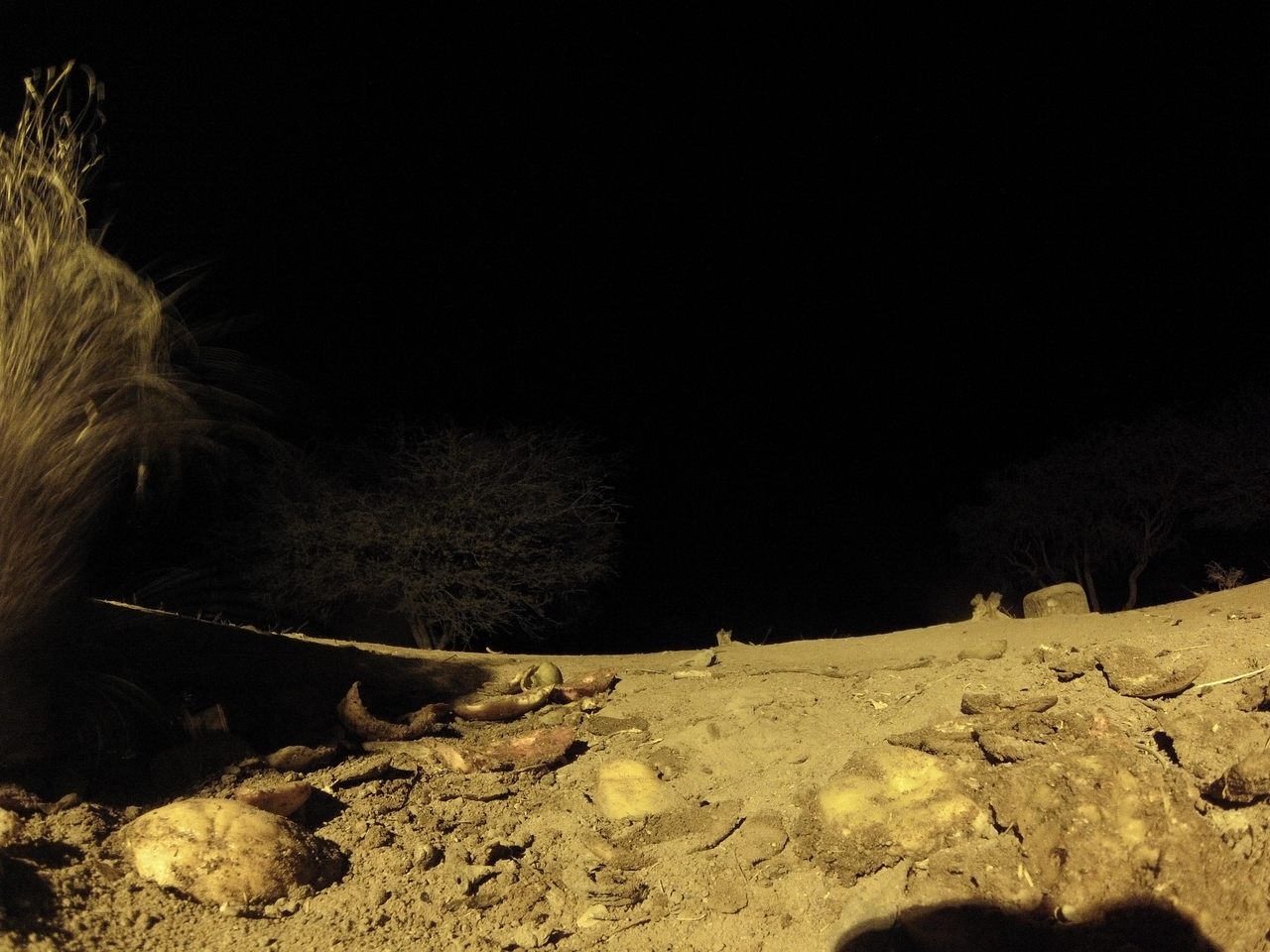 [10916] 2016_06_23_19_52_48_Africa_Hero3-Silver_Edition_IMG__01314.jpg