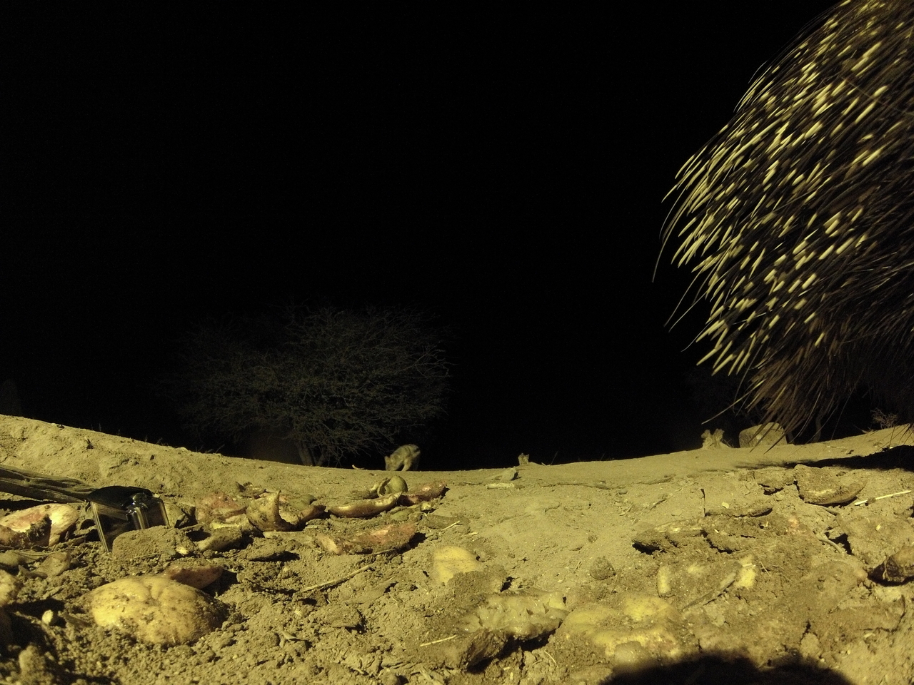 [10956] 2016_06_23_19_53_32_Africa_Hero3-Silver_Edition_IMG__01325.jpg