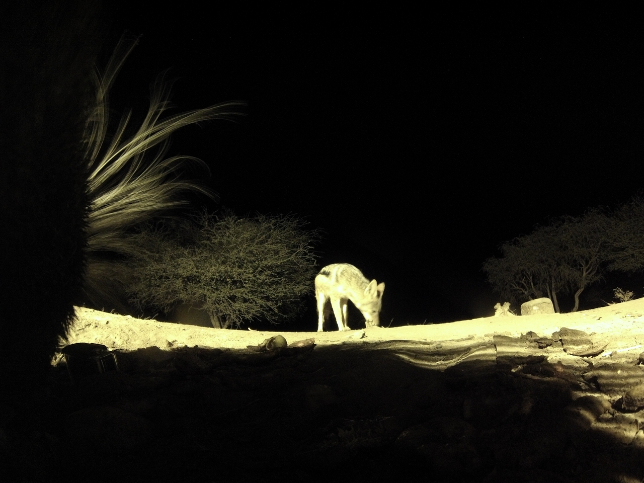 [10974] 2016_06_23_19_53_53_Africa_Hero3-Silver_Edition_IMG__01330.jpg