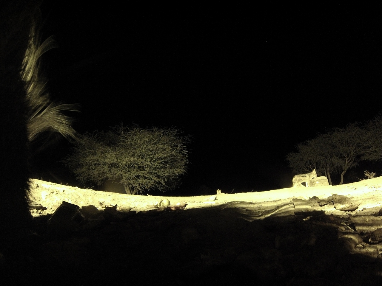 [10992] 2016_06_23_19_54_13_Africa_Hero3-Silver_Edition_IMG__01335.jpg