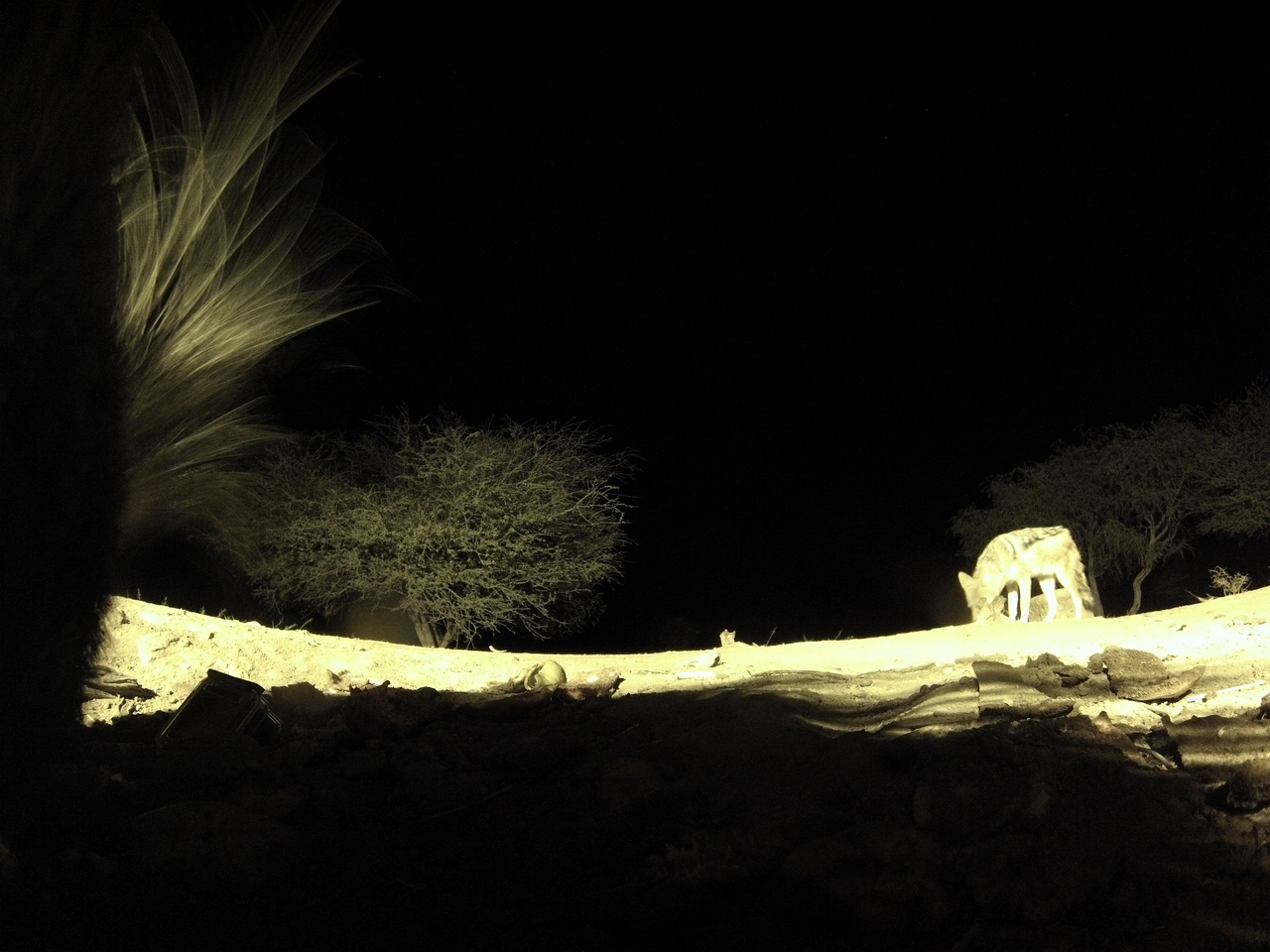 [11005] 2016_06_23_19_54_29_Africa_Hero3-Silver_Edition_IMG__00891.jpg