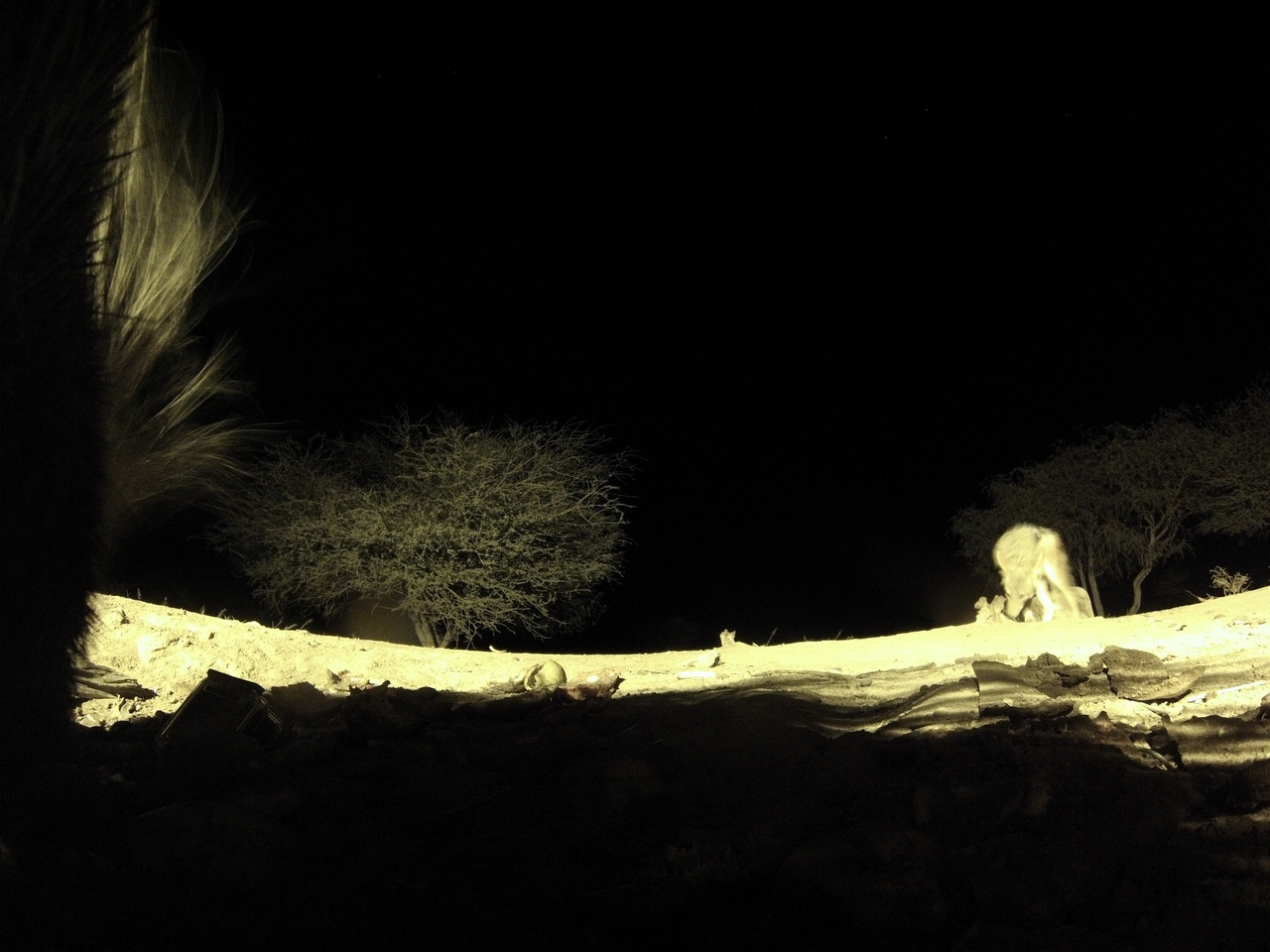 [11009] 2016_06_23_19_54_33_Africa_Hero3-Silver_Edition_IMG__00892.jpg