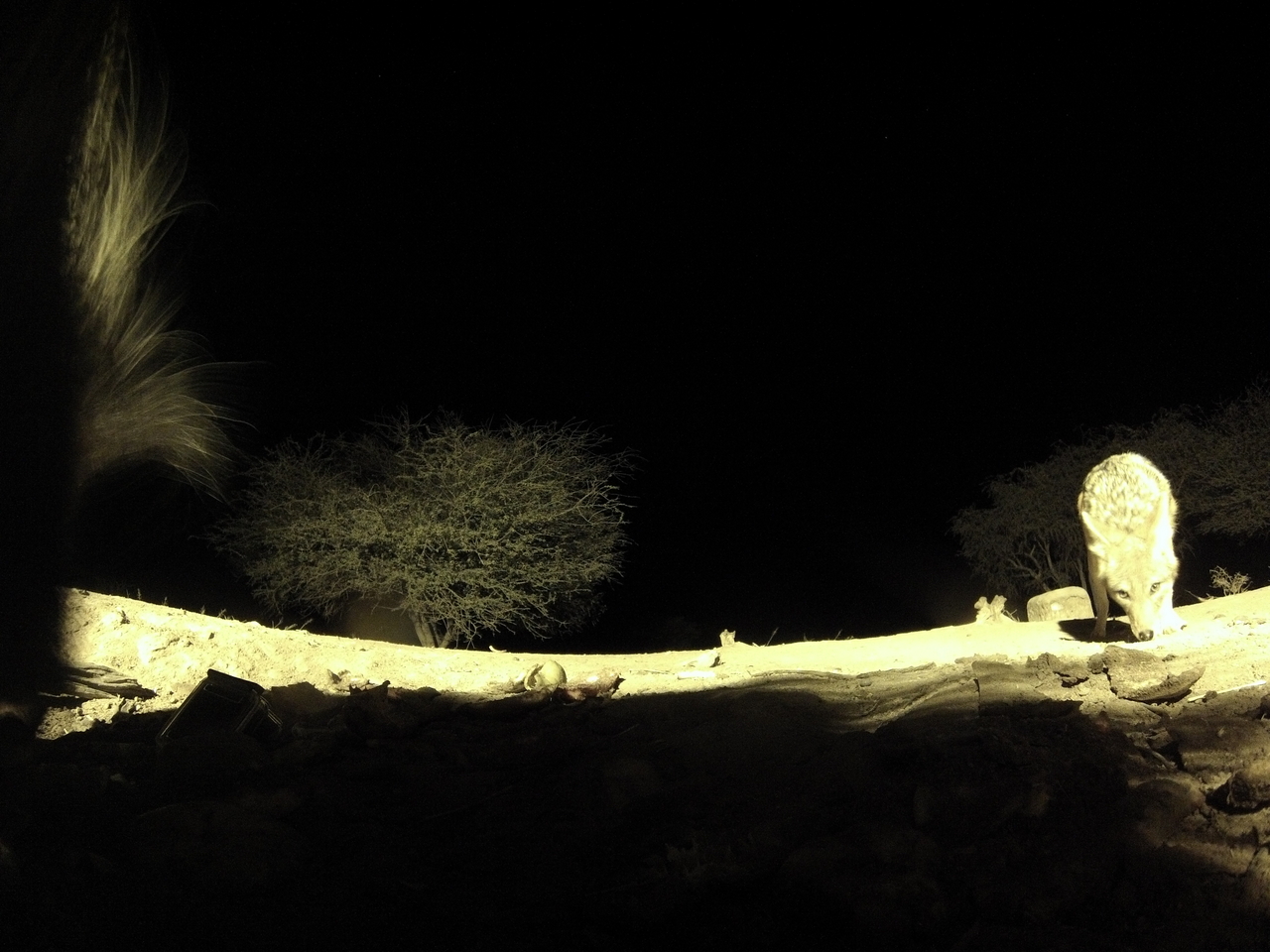 [11015] 2016_06_23_19_54_41_Africa_Hero3-Silver_Edition_IMG__00894.jpg