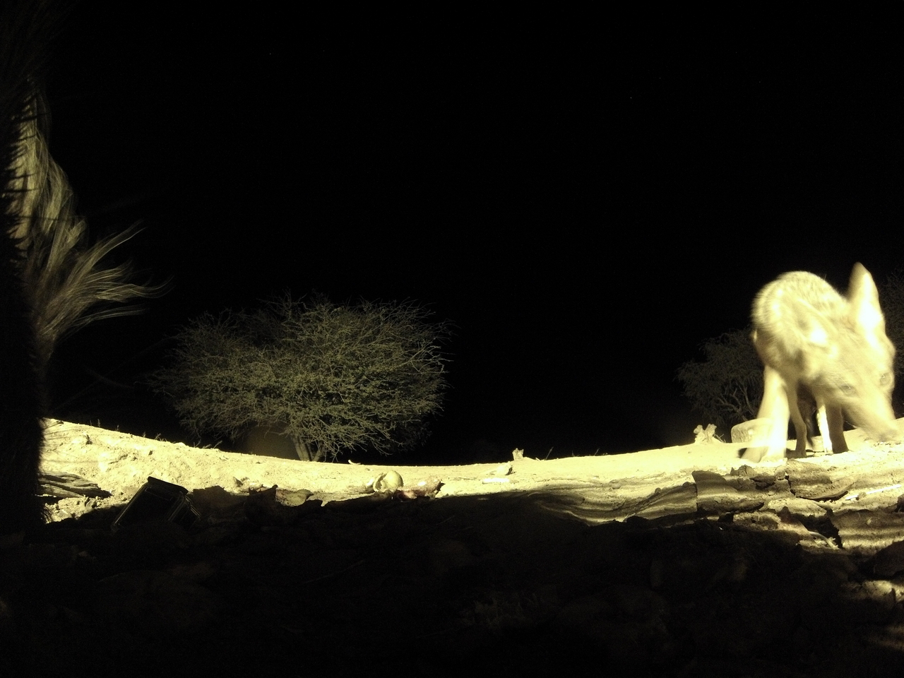 [11028] 2016_06_23_19_54_53_Africa_Hero3-Silver_Edition_IMG__01345.jpg