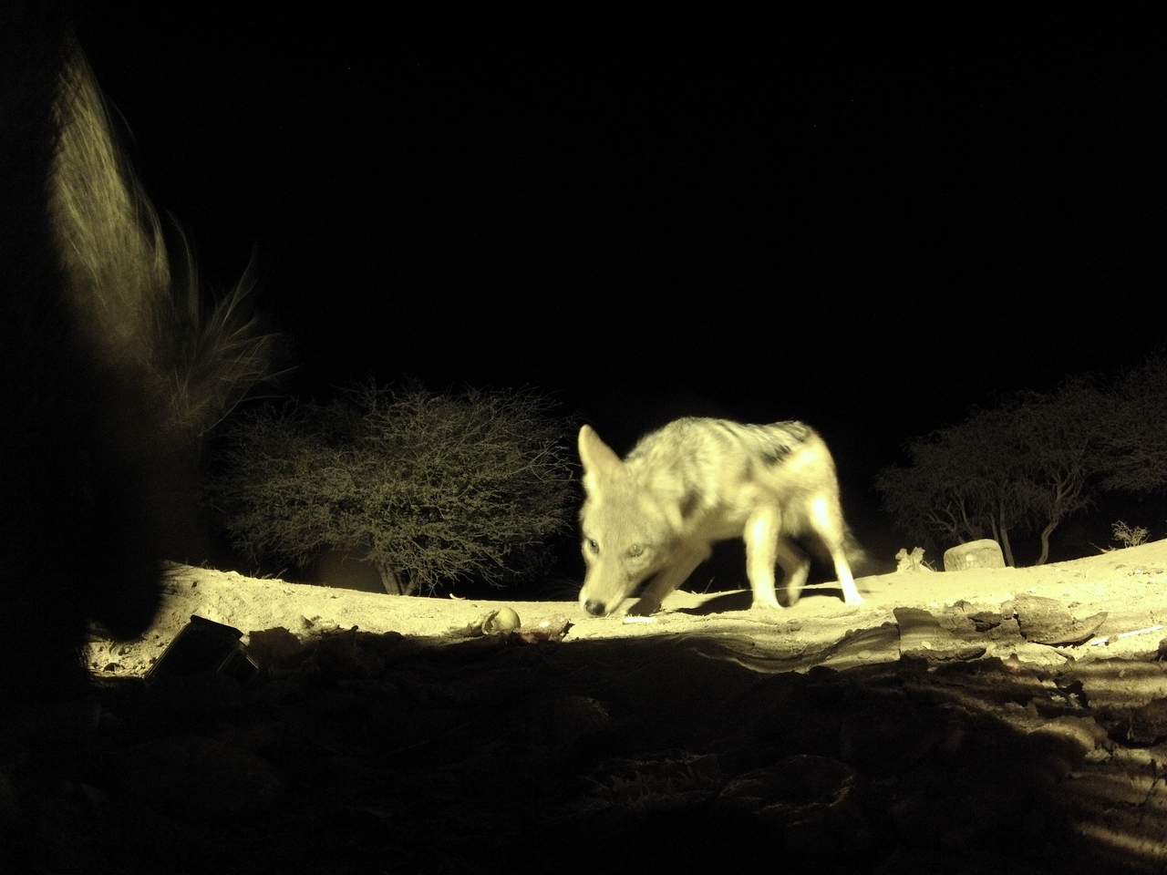 [11051] 2016_06_23_19_55_21_Africa_Hero3-Silver_Edition_IMG__00904.jpg