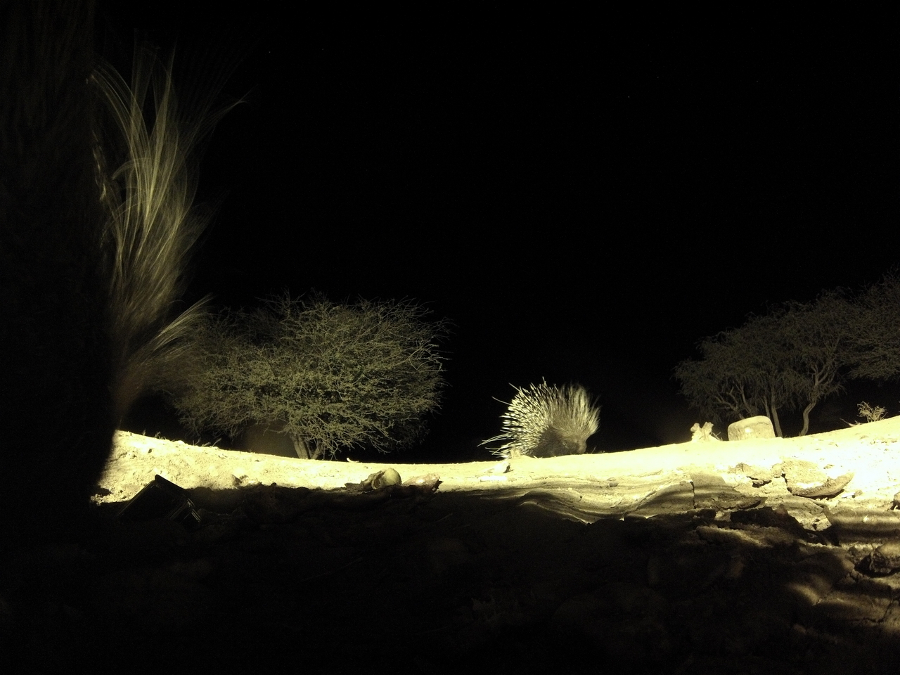 [11069] 2016_06_23_19_55_41_Africa_Hero3-Silver_Edition_IMG__00909.jpg